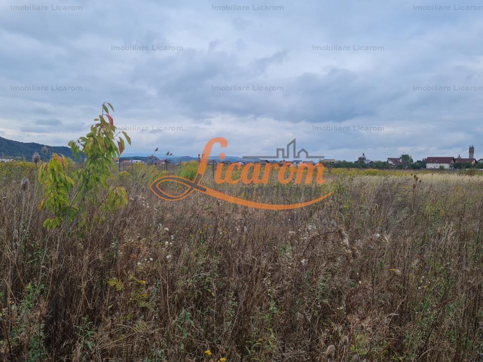 De vanzare teren 502 mp Harman Aleea 14 pret 40000 euro - 3