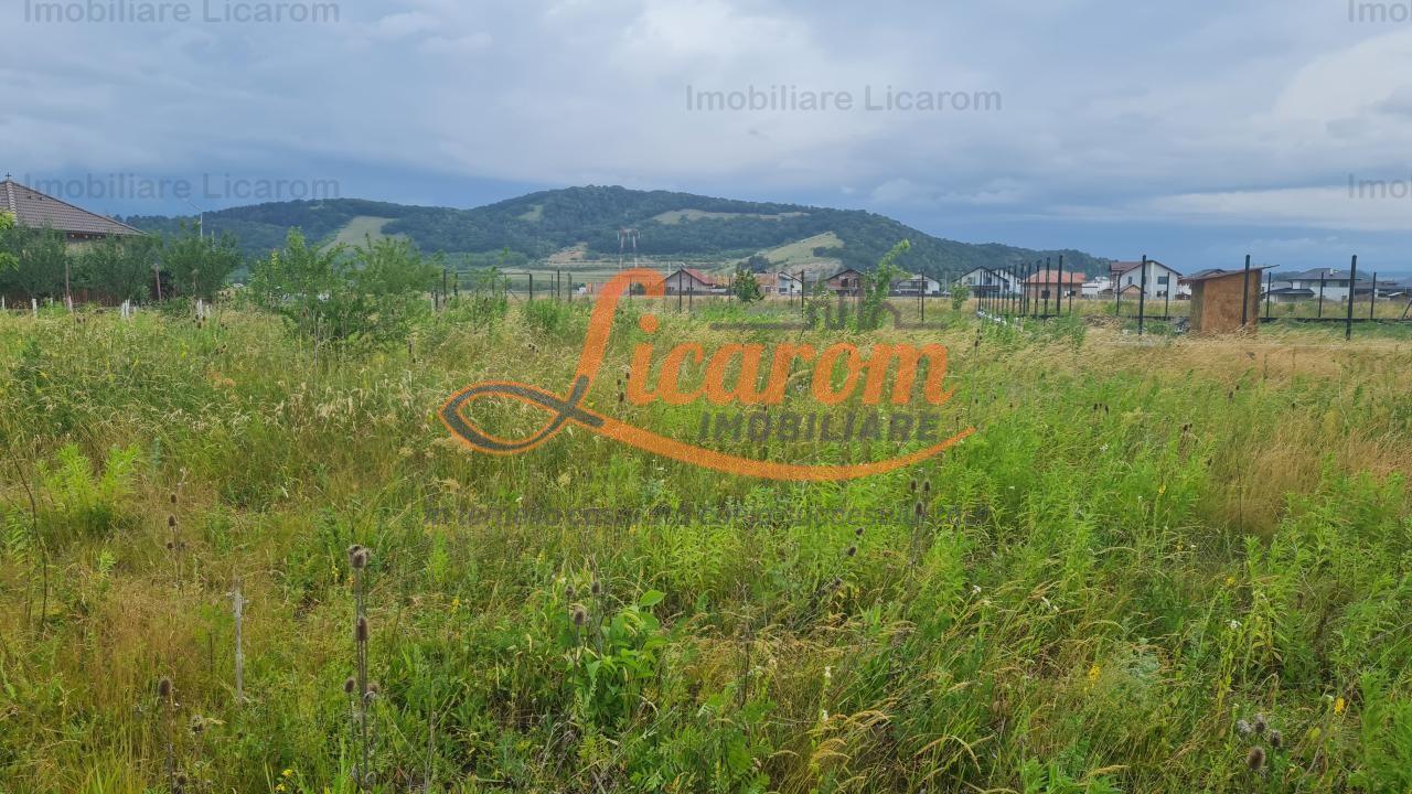 De vanzare teren 502 mp Harman Aleea 14 pret 40000 euro - 6