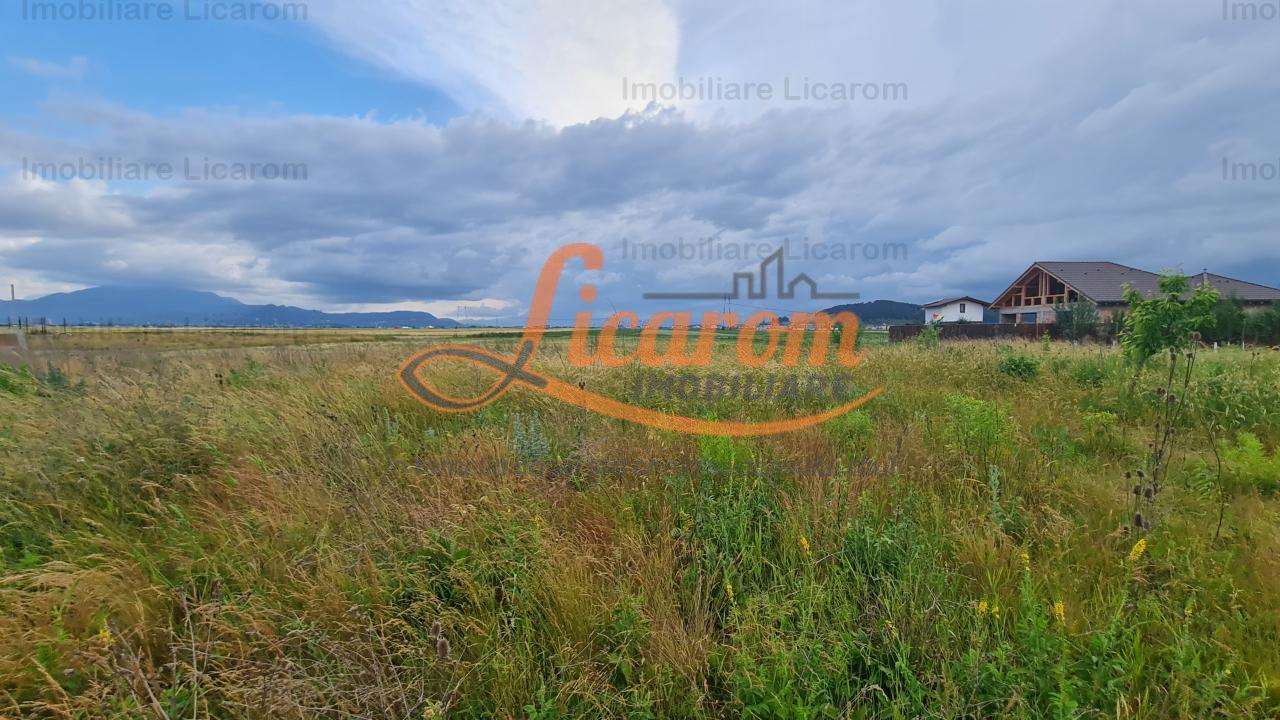 De vanzare teren 502 mp Harman Aleea 14 pret 40000 euro - 7