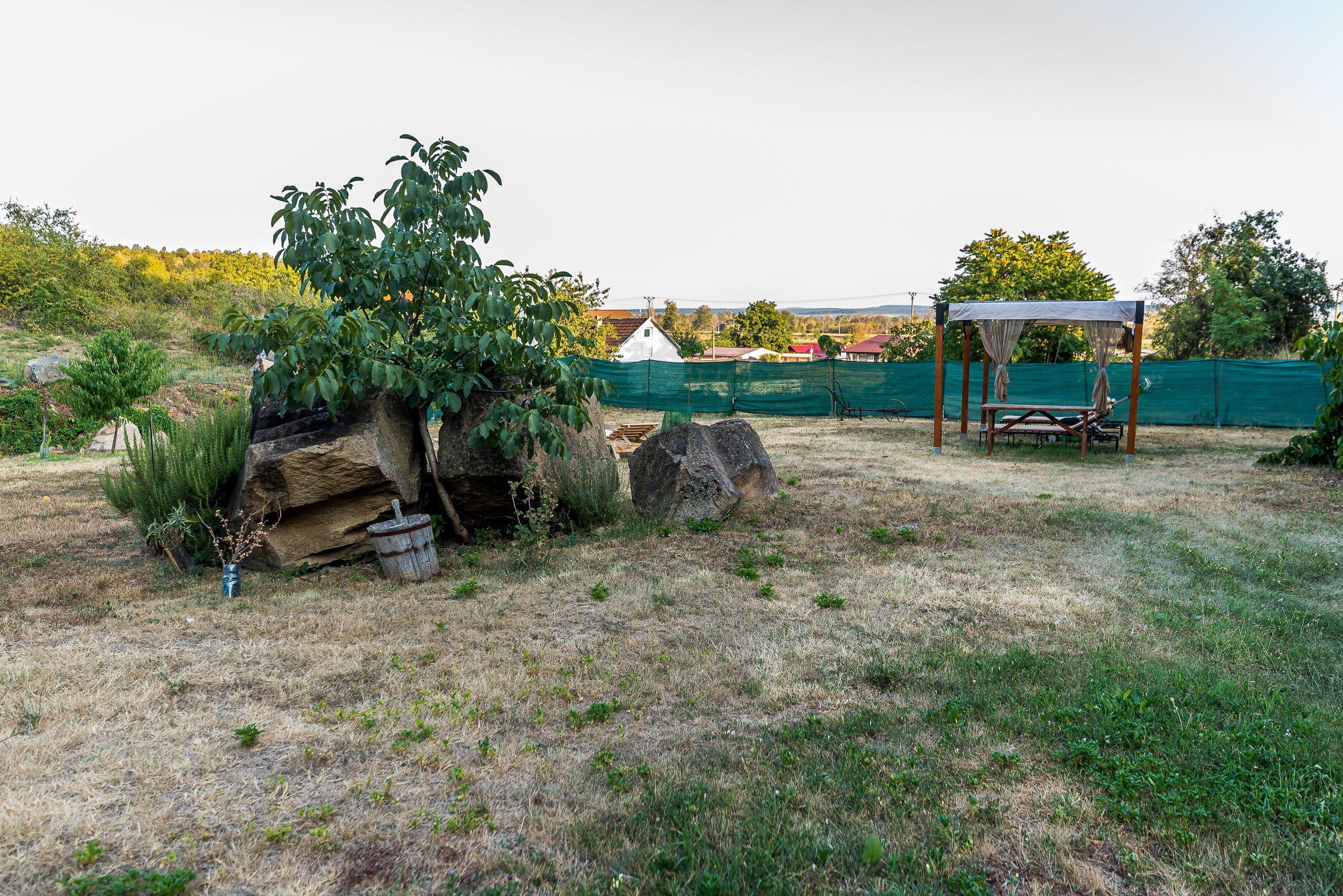 🇮🇹 Vilă în stil italian lângă Arad | Vilă cu 12.000 mp - 8