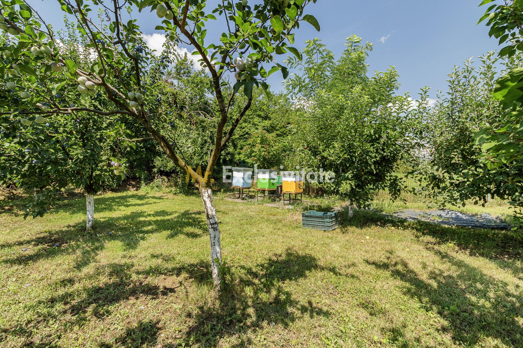 Casă de vânzare Tâncăbești cu grădină, aproape de lac - 27
