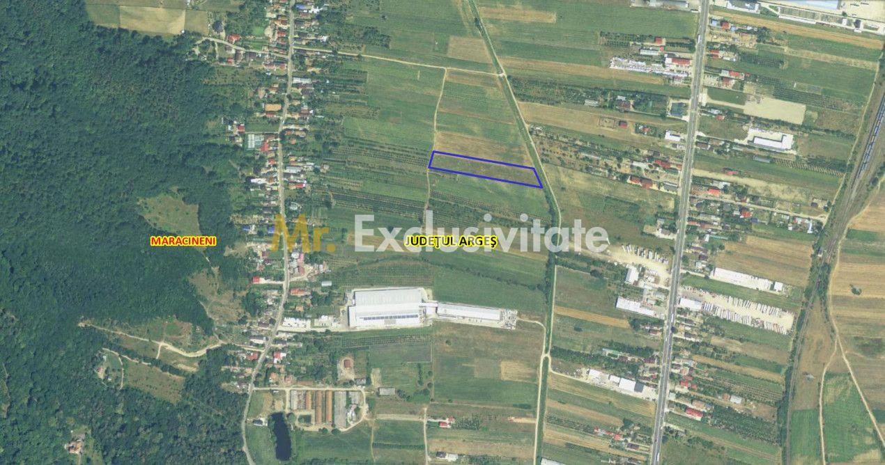 Teren intravilan 7.545 mp în ideal rezidențial sau hale - 4