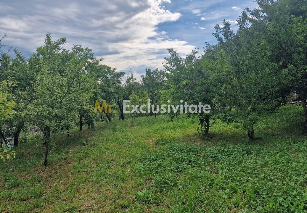 Teren intravilan 1400mp-Albota! - 2