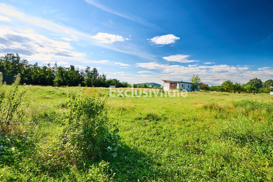 Teren Intravilan 1100 mp + Anexă 120 mp - Budeasa, Calotesti! - 9