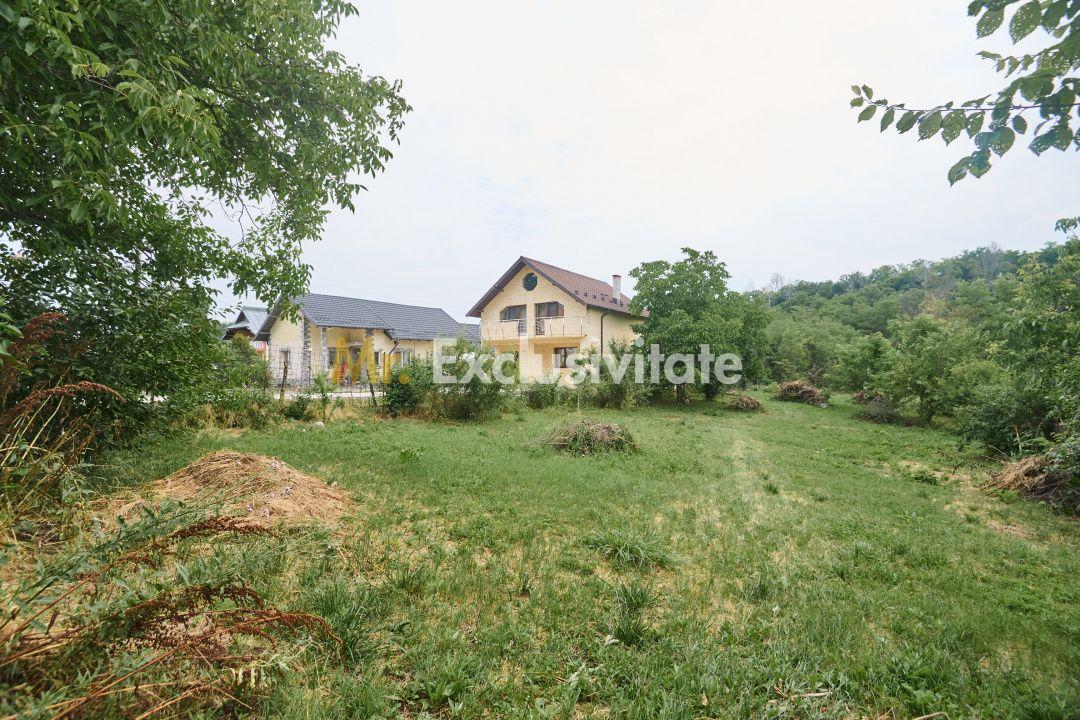 Teren 2240 mp intravilan + casa batraneasca Hintesti-Basangesti - 6