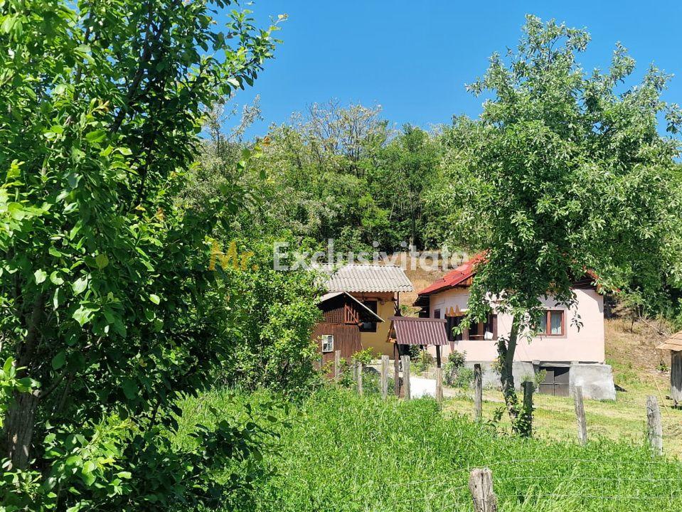 Proprietate în Comuna Botești, Județul Argeș – Zonă Pitorească și Liniștită ! - 22