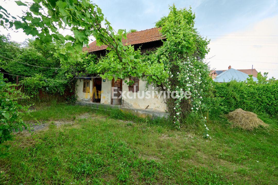 Casa cu teren generos - 4696 mp Apa Sarata - Campulung !! - 23