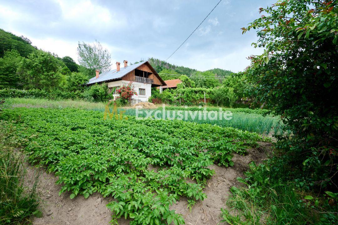 Casa cu teren generos - 4696 mp Apa Sarata - Campulung !! - 9