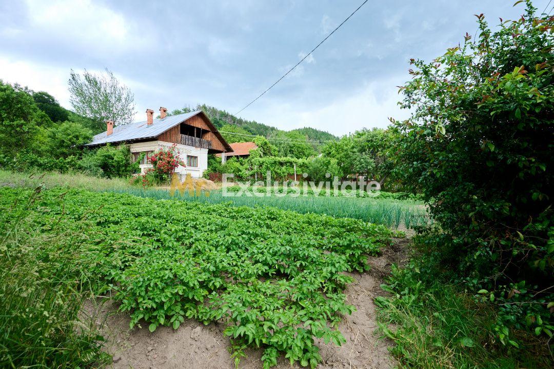 Casa cu teren generos - 4696 mp Apa Sarata - Campulung !! - 5
