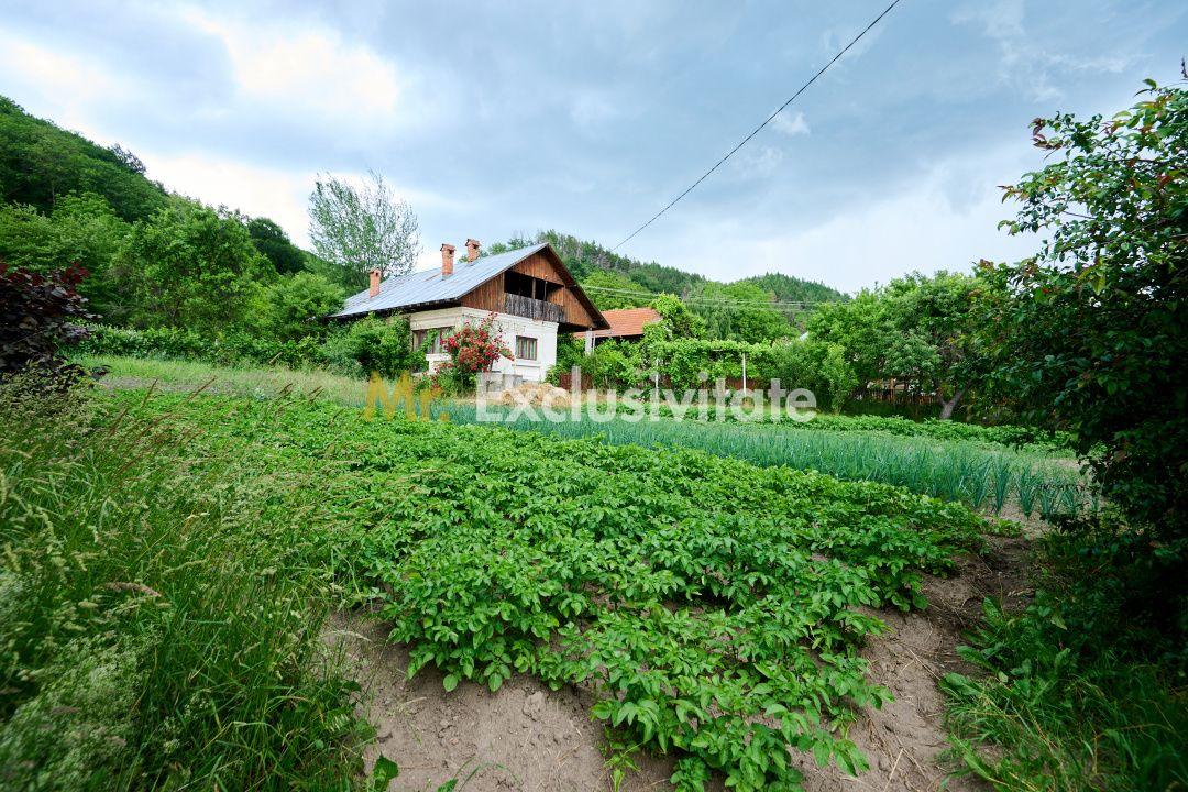 Casa cu teren generos - 4696 mp Apa Sarata - Campulung !! - 1