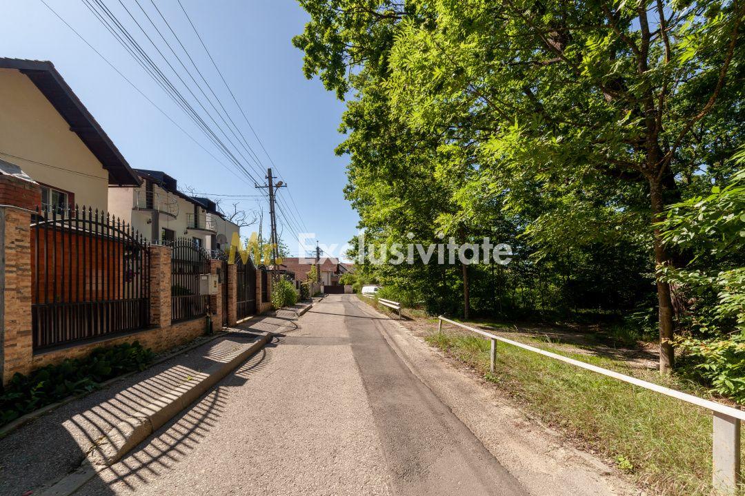 Casa P+M langa Padurea Trivale - 12