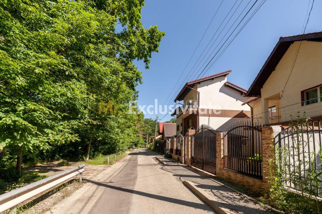 Casa P+M langa Padurea Trivale - 2