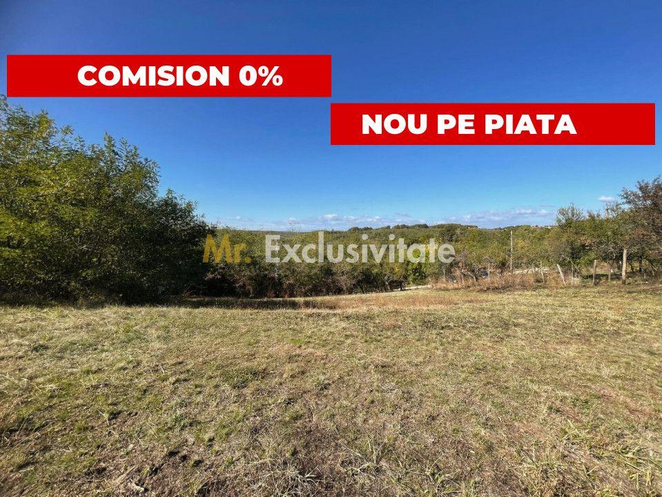 Teren Babana 5000mp intravilan - 2