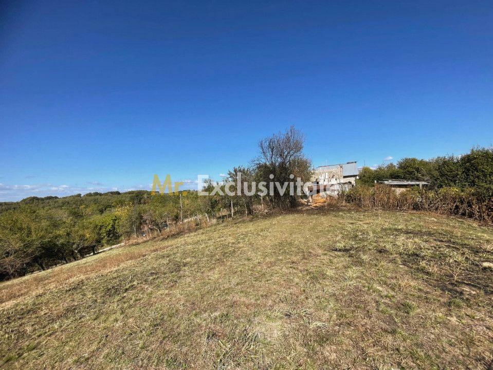 Teren Babana 5000mp intravilan - 6