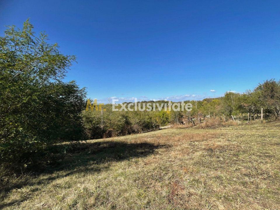 Teren Babana 5000mp intravilan - 3