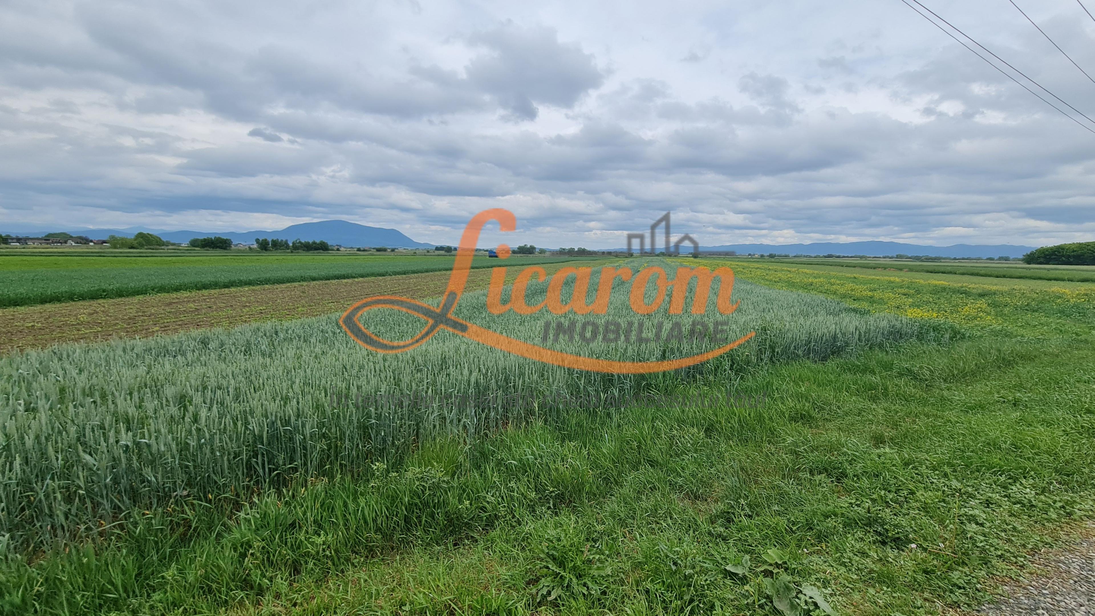 Teren intravilan Stupini front la Calea Feldioarei, DN 13 - 2