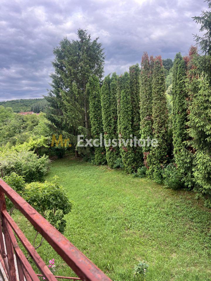 Acasă la Bascov- Județ Arges cu peisaj de poveste - 2