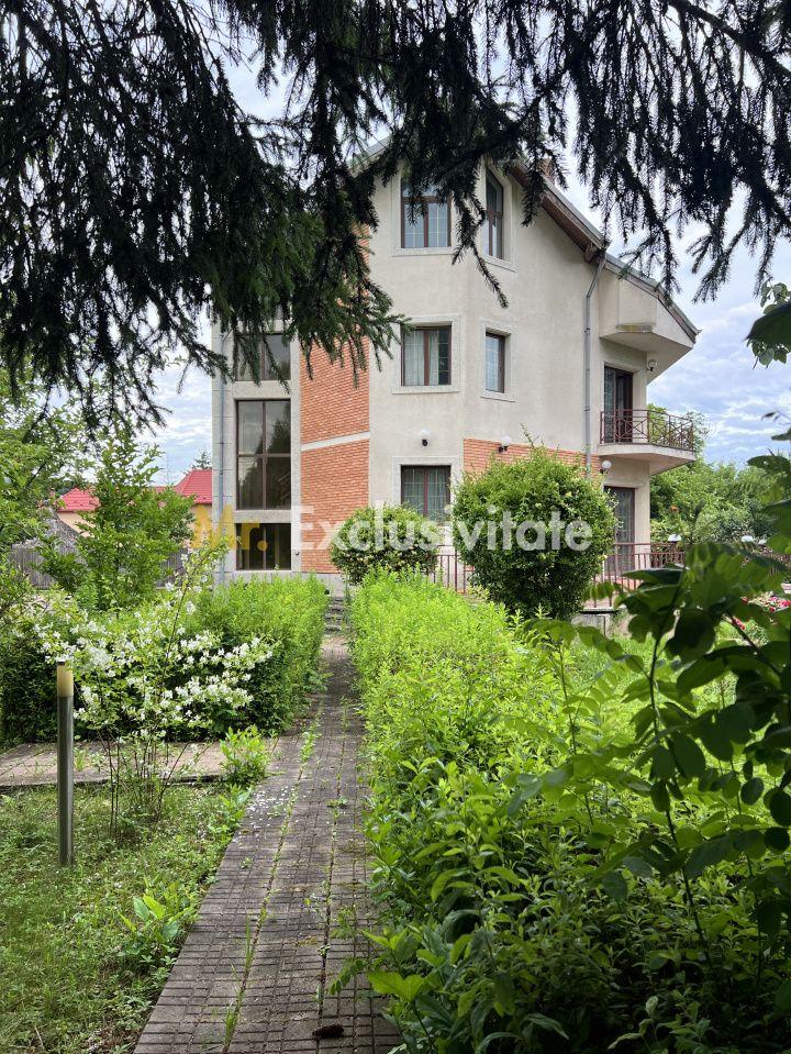 Acasă la Bascov- Județ Arges cu peisaj de poveste - 11