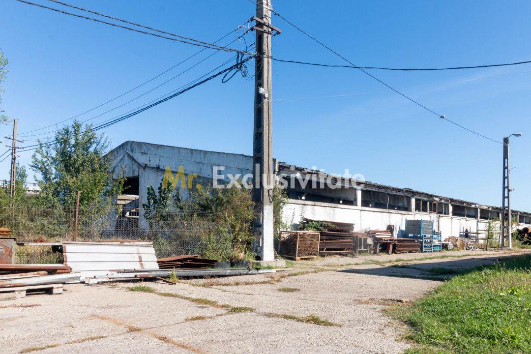 Hala industrial-comerciala - 1