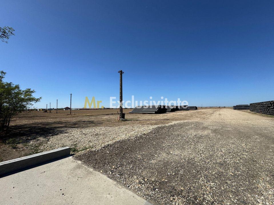 Teren extravilan de vânzare – Căteasca, Argeș | 27.201 mp | Deschidere 58,55 m - 4