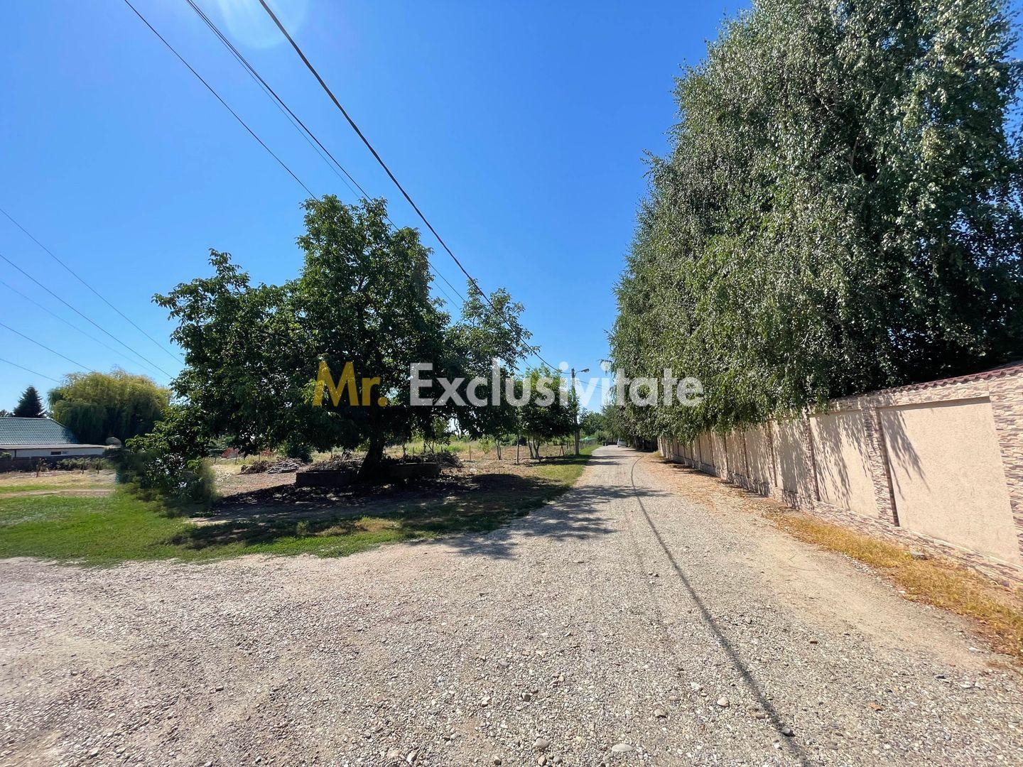 Teren intravilan | 2 deschideri | Ștefăneștii Noi – Str. Primăverii - 2
