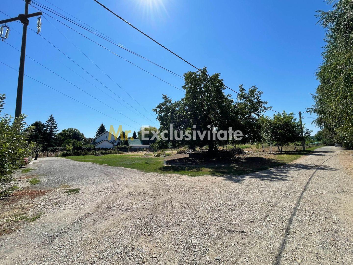 Teren intravilan | 2 deschideri | Ștefăneștii Noi – Str. Primăverii - 1