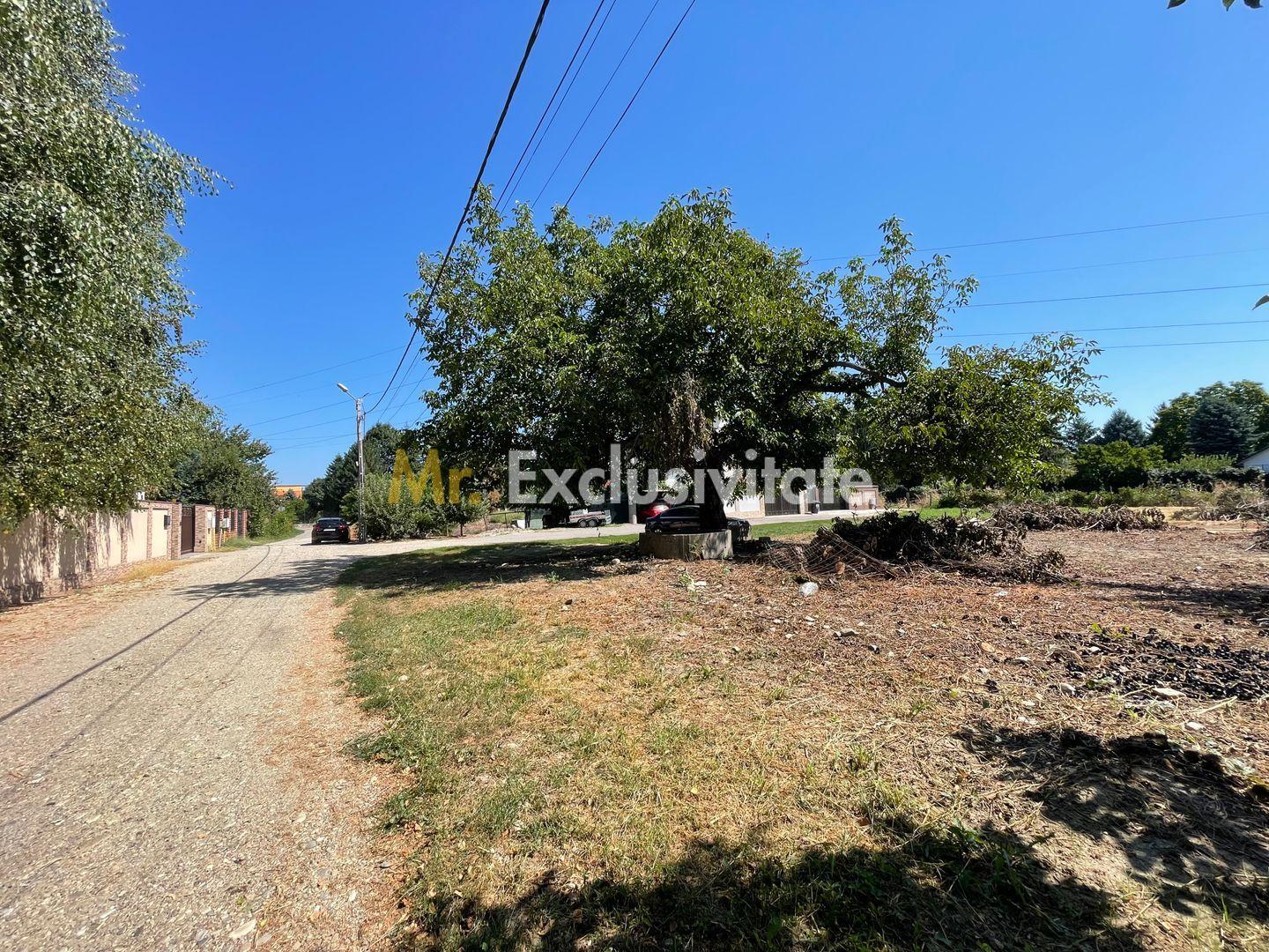 Teren intravilan | 2 deschideri | Ștefăneștii Noi – Str. Primăverii - 6