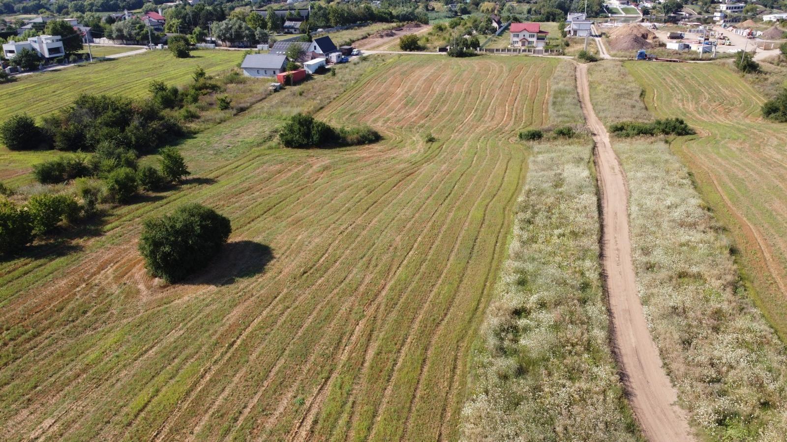 Teren intravilan 10.789 mp în Snagov - 3