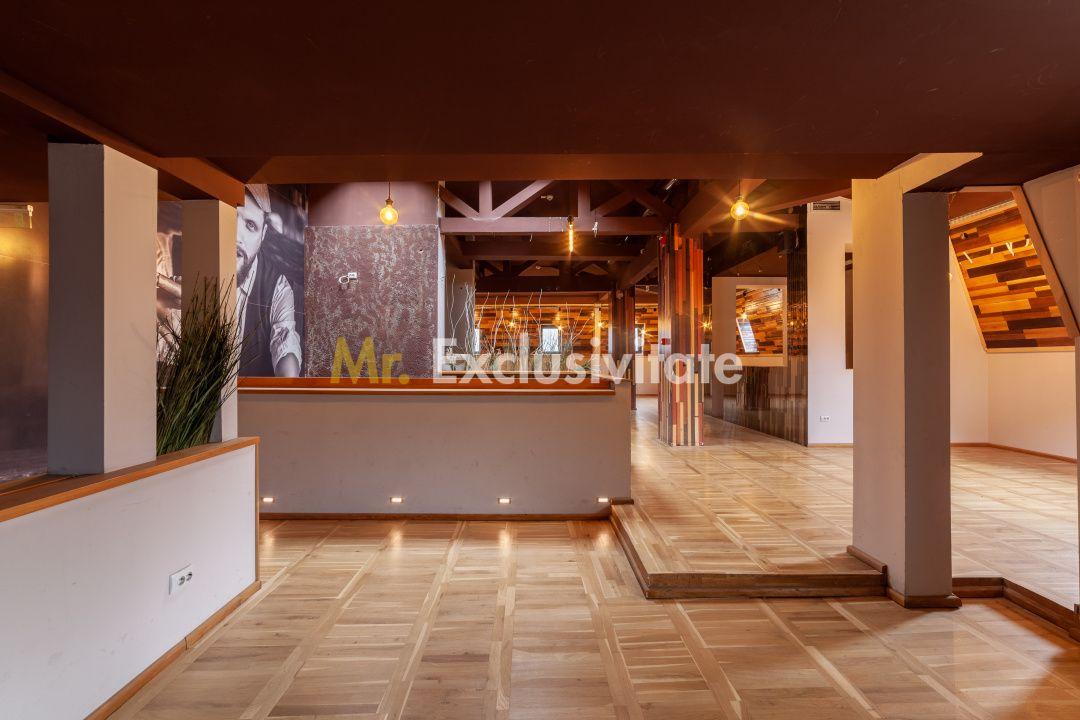 Spatiu comercial premium in vila – Bd. Republicii, Pitesti - 14