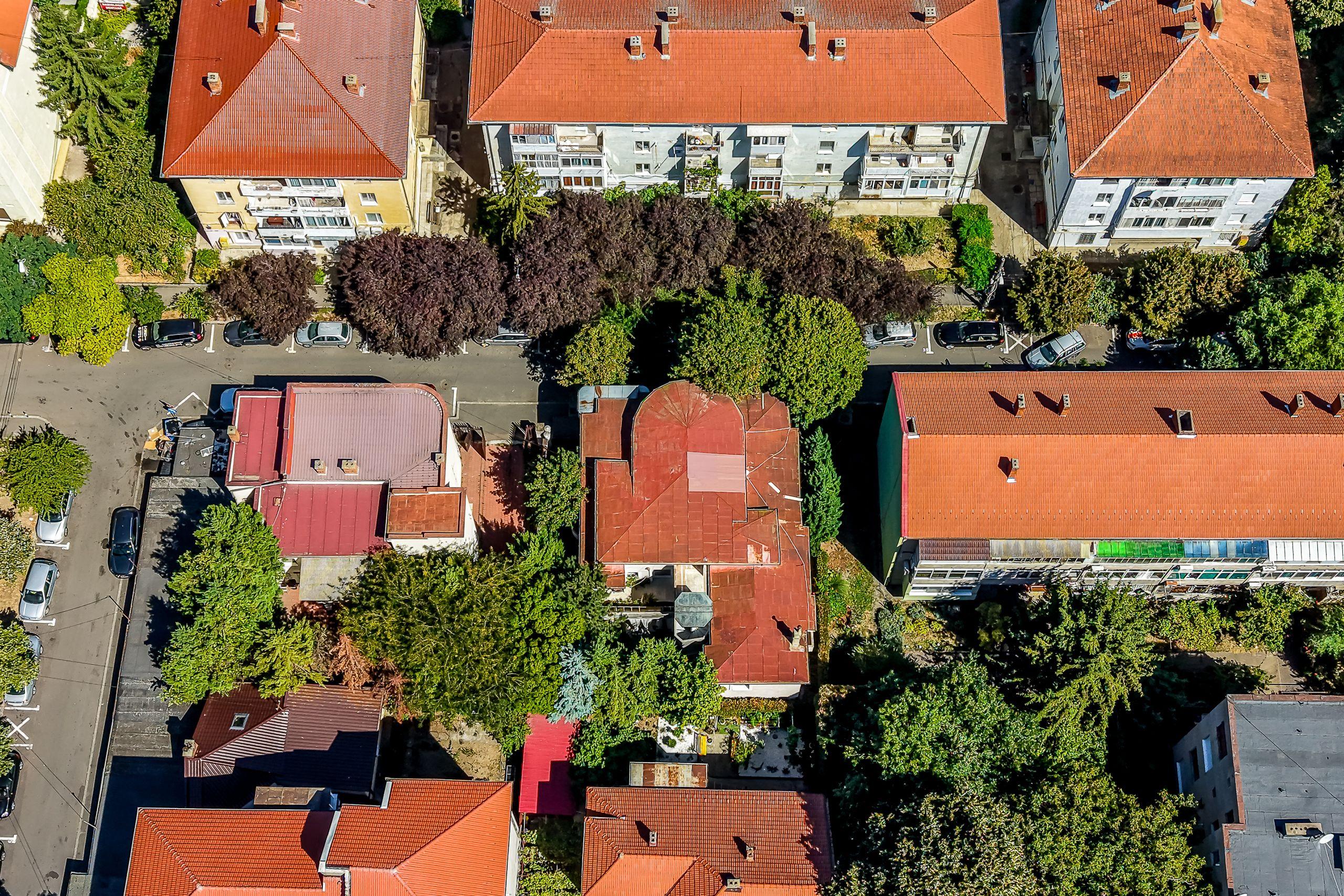 Vilă de excepție în Podgoria, Arad, locație, arhitectură și caracter. - 21