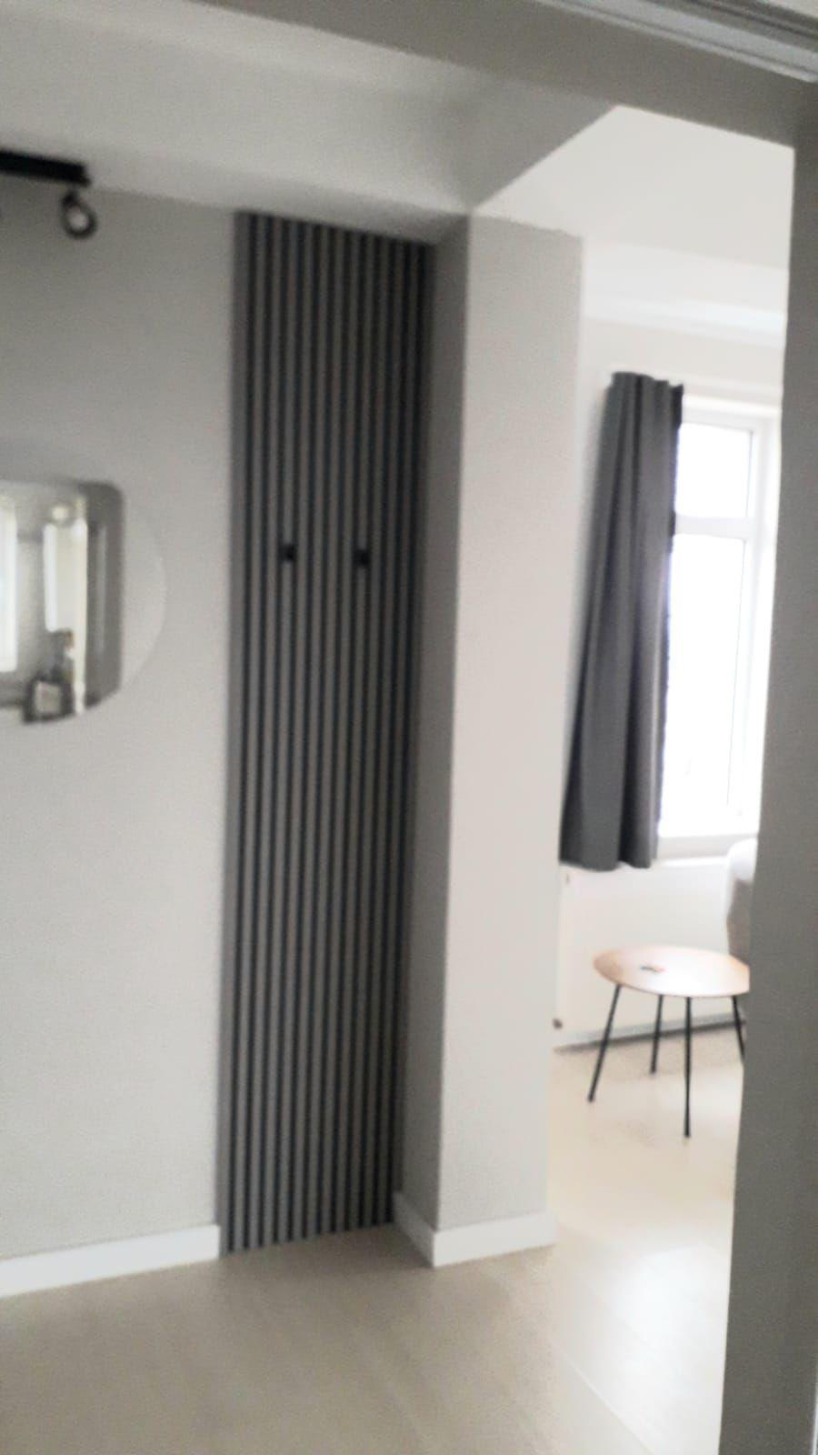De inchiriat 2 apartamente cu 2 camere, etaj 1/2, strada Domneasca, 500 E - 3