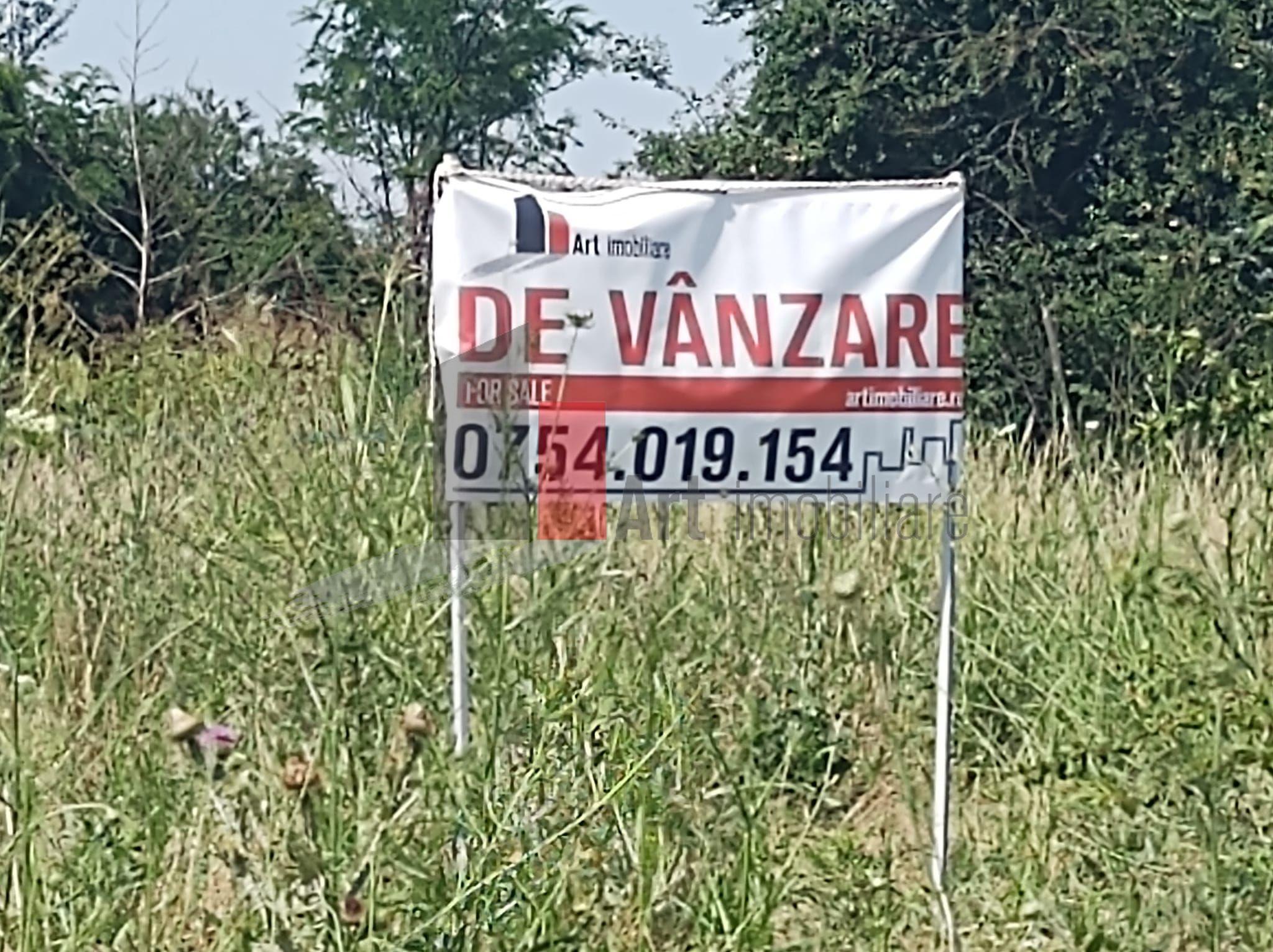 Vânzare 2 loturi de casă Dobreni Giurgiu - 1