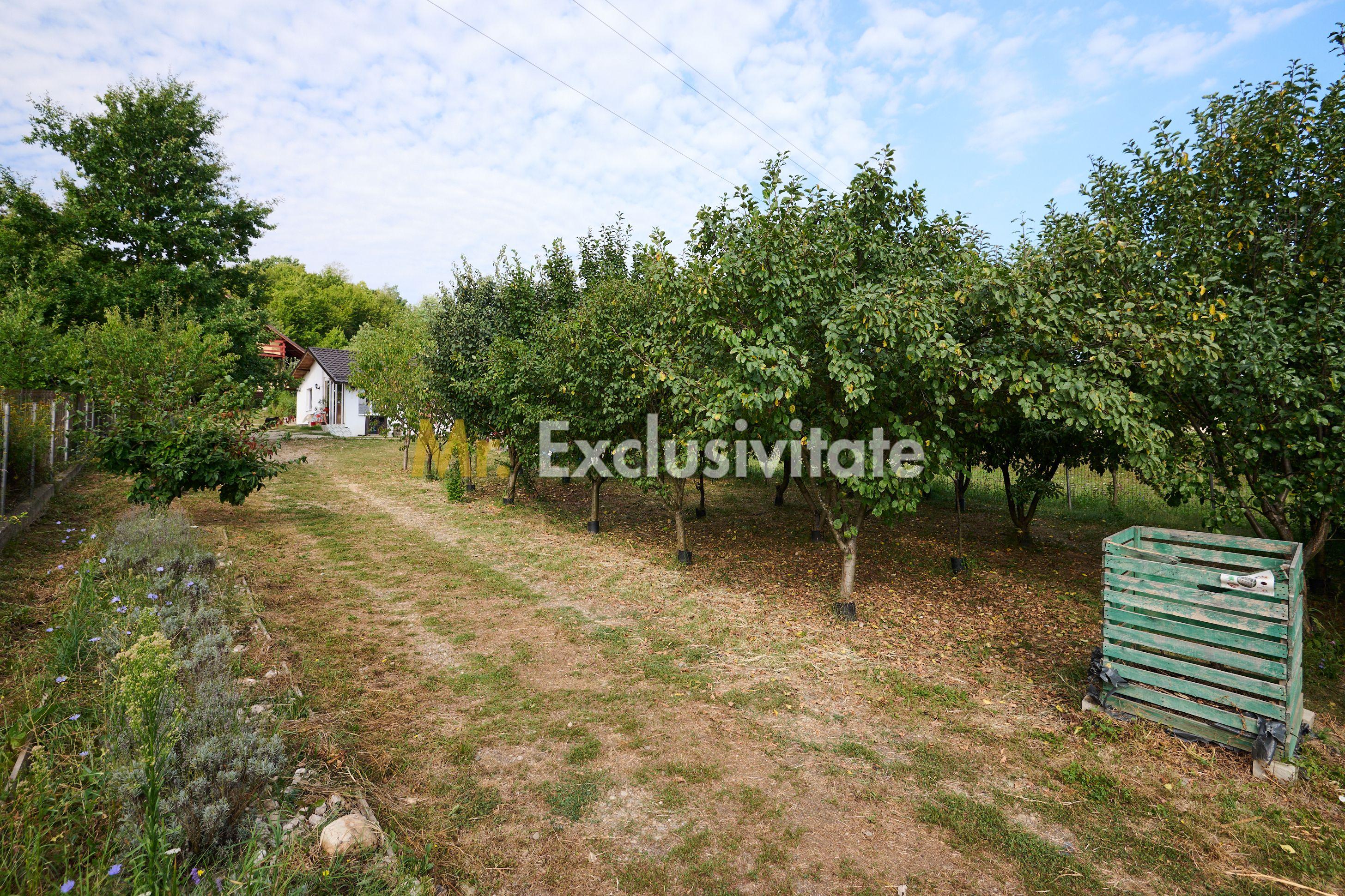 Doua CASE in aceeasi curte–BABANA, ARGEȘ | 1.485 MP TEREN - 20