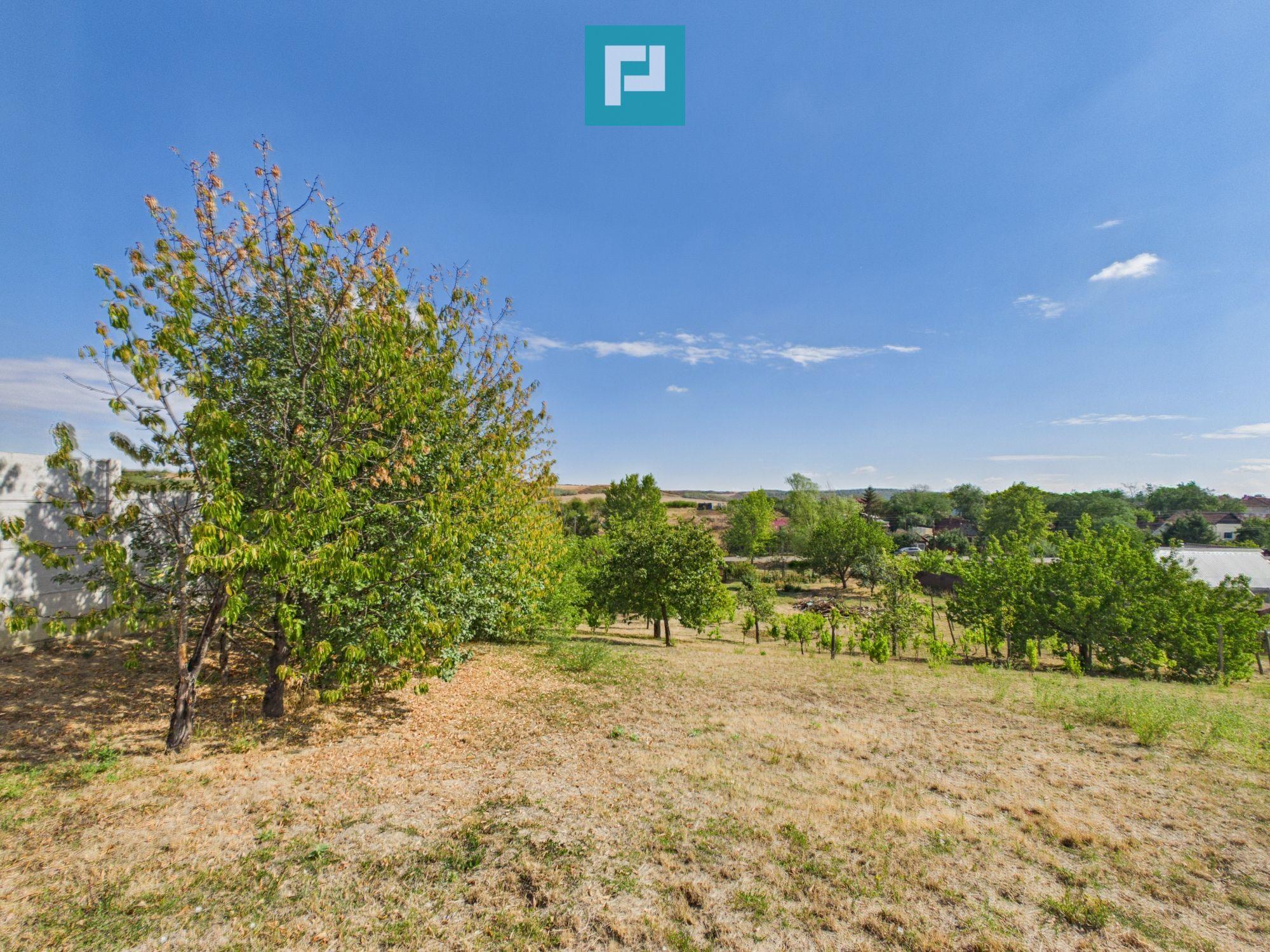 Casă din lemn în Uileacu de Munte – teren 2140 mp - 23