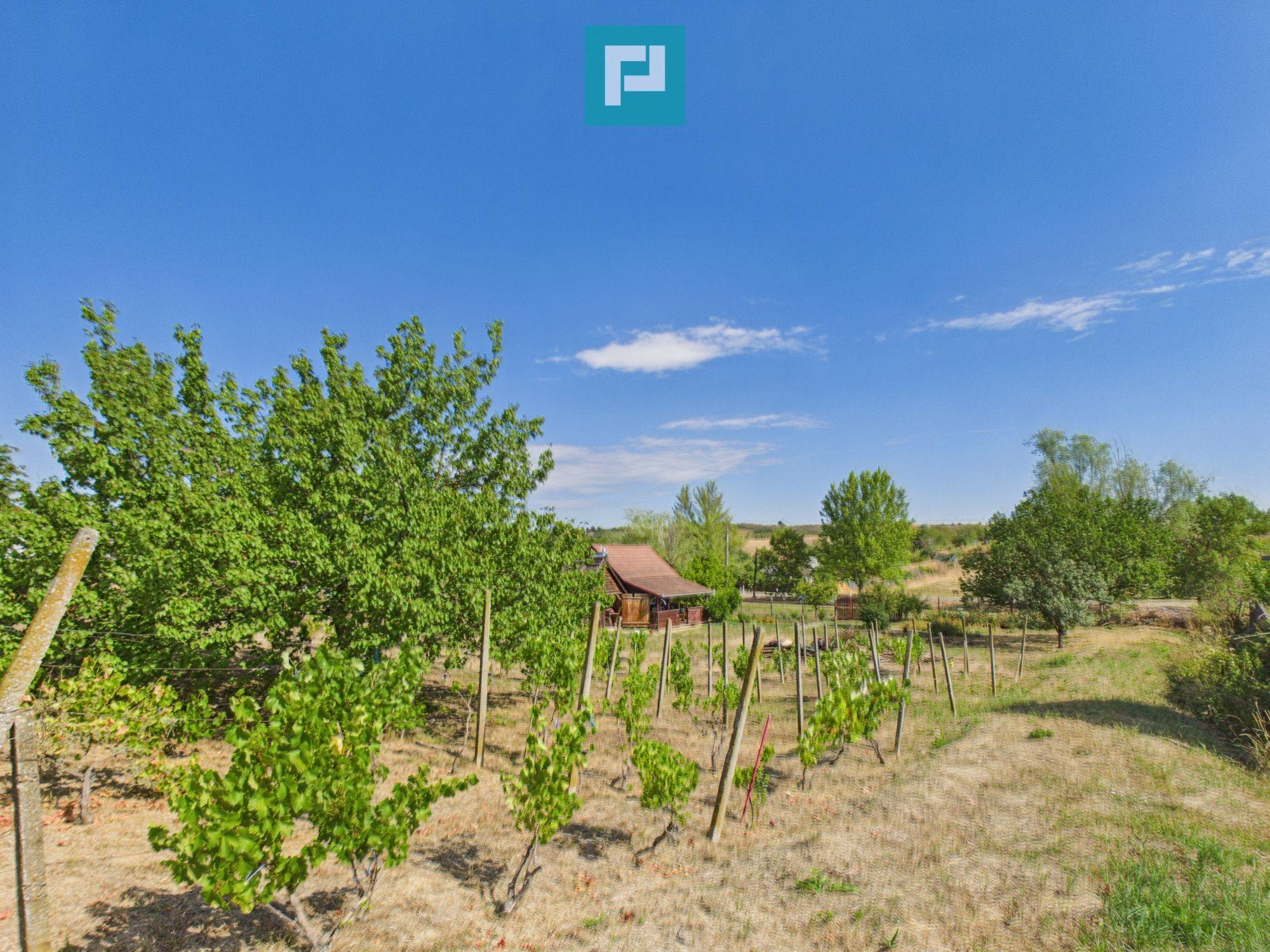 Casă din lemn în Uileacu de Munte – teren 2140 mp - 21