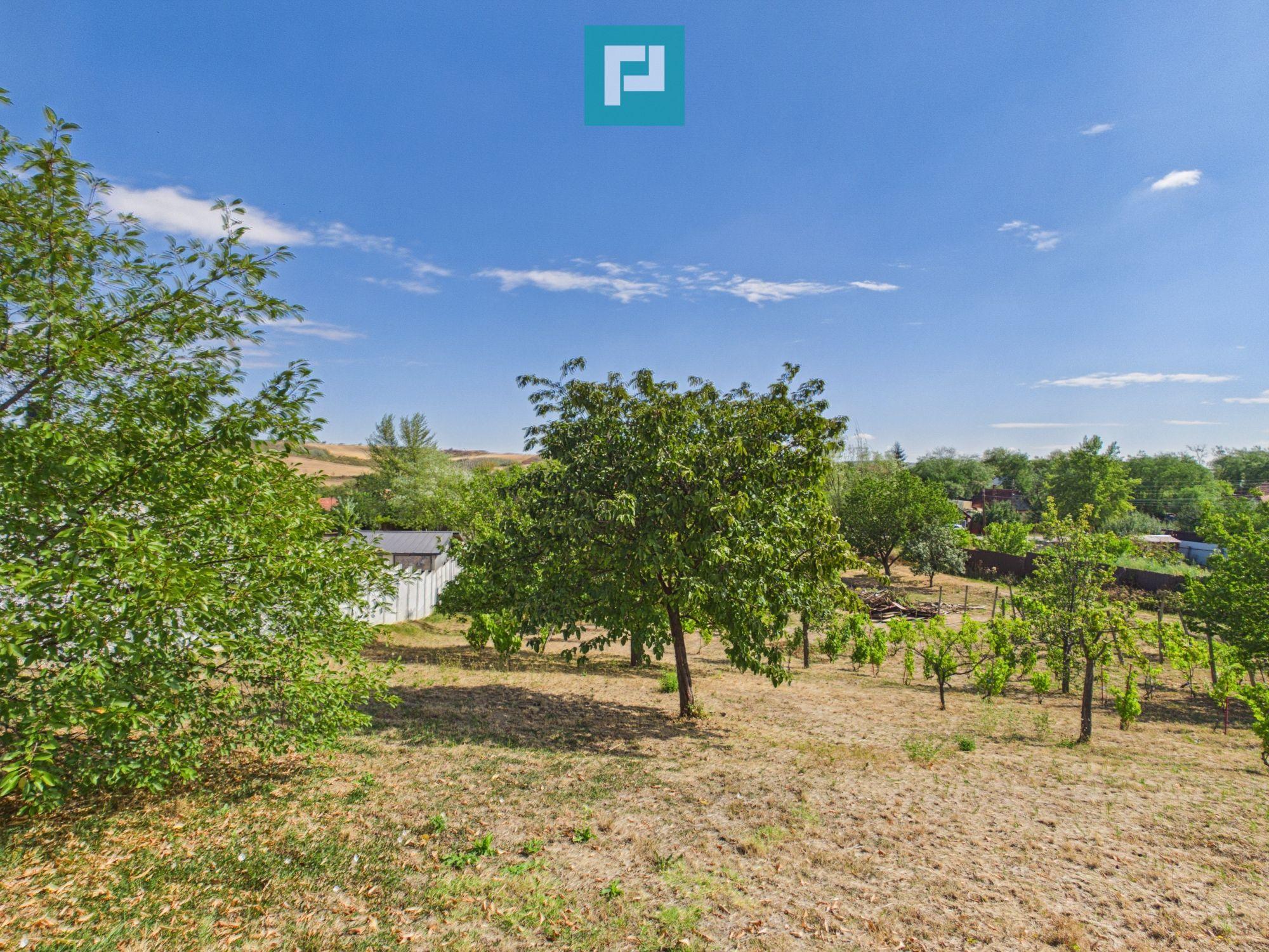 Casă din lemn în Uileacu de Munte – teren 2140 mp - 24