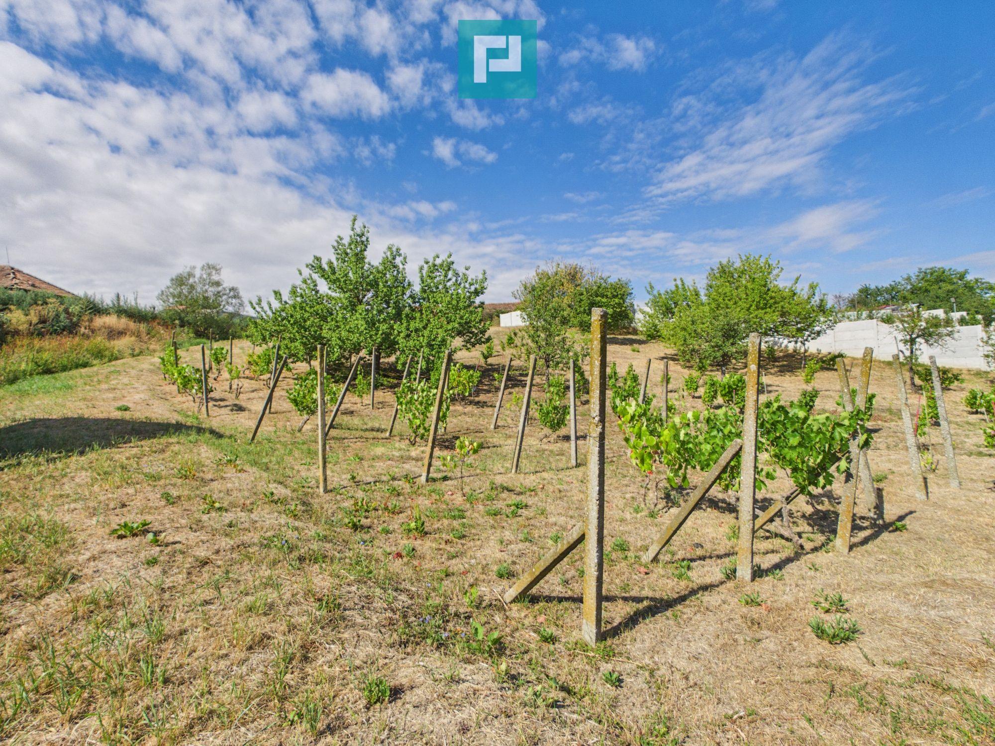Casă din lemn în Uileacu de Munte – teren 2140 mp - 22