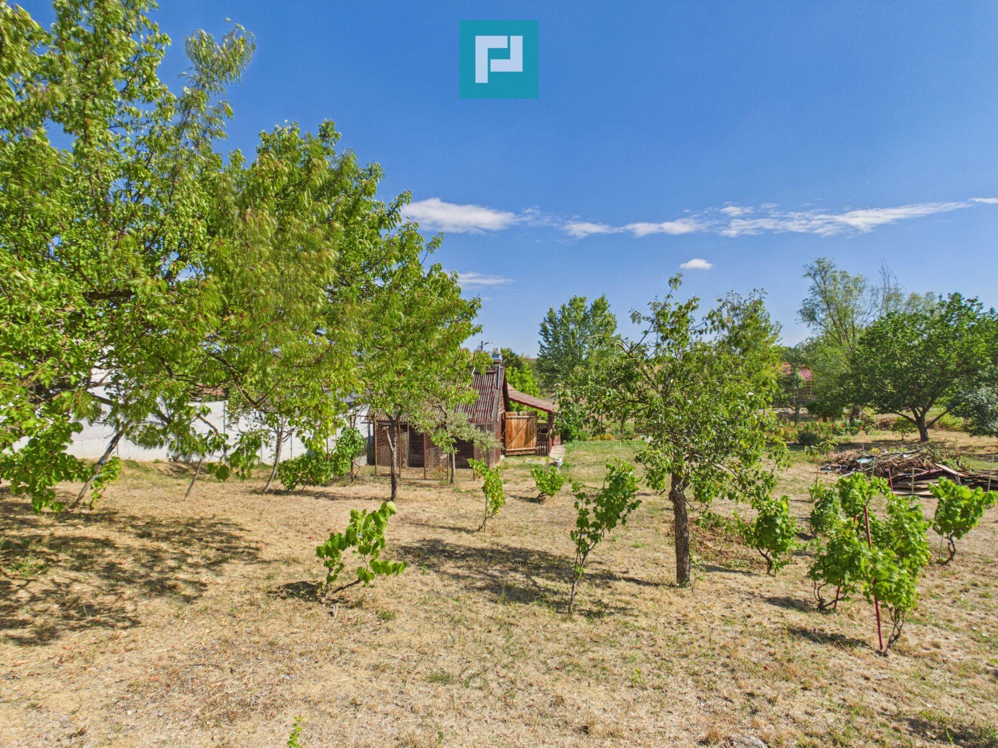Casă din lemn în Uileacu de Munte – teren 2140 mp - 25
