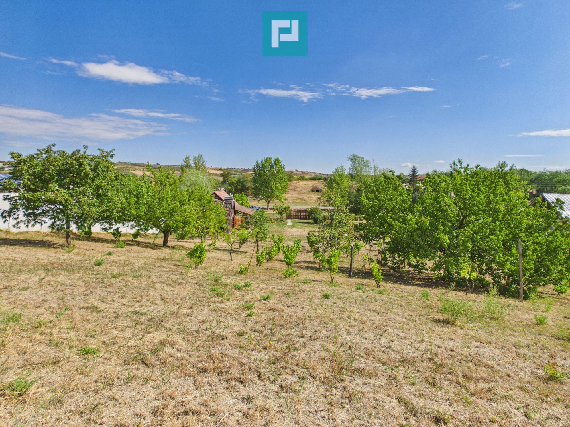 Casă din lemn în Uileacu de Munte – teren 2140 mp - 26