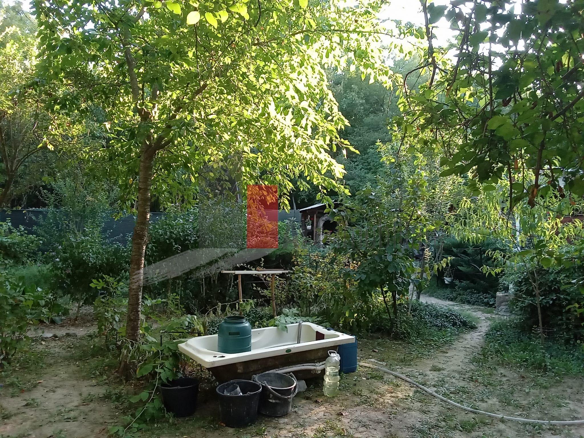 Vânzare teren intravilan Dărăști-Vlașca - 11