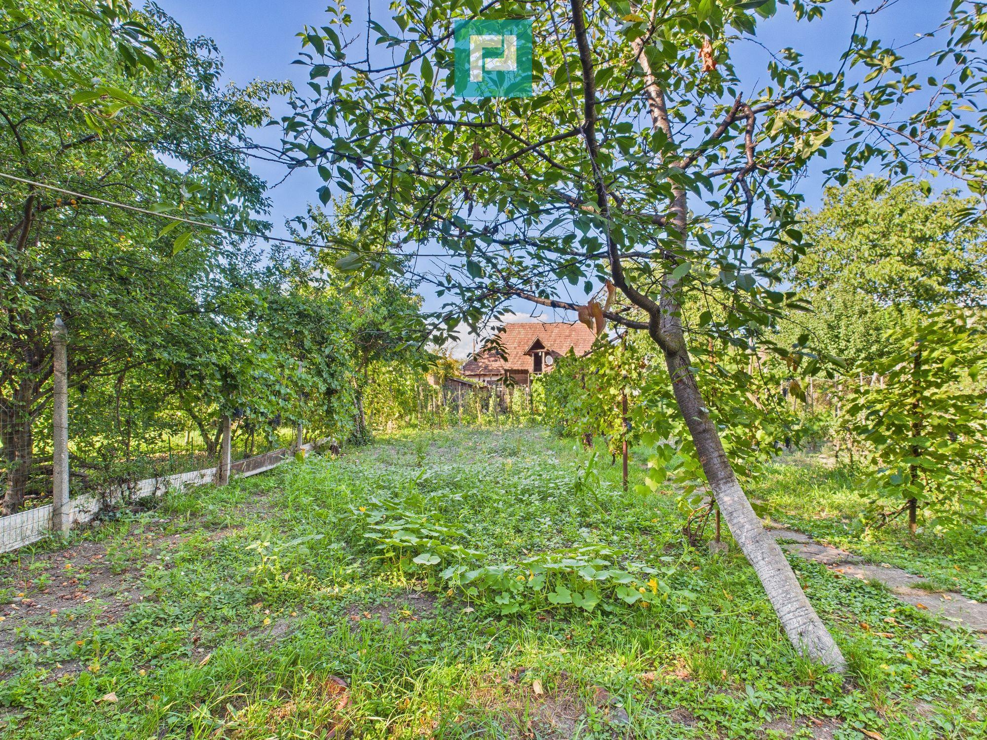 Casă cu 4 camere, curte și atelier mecanic - Sebeș - 15