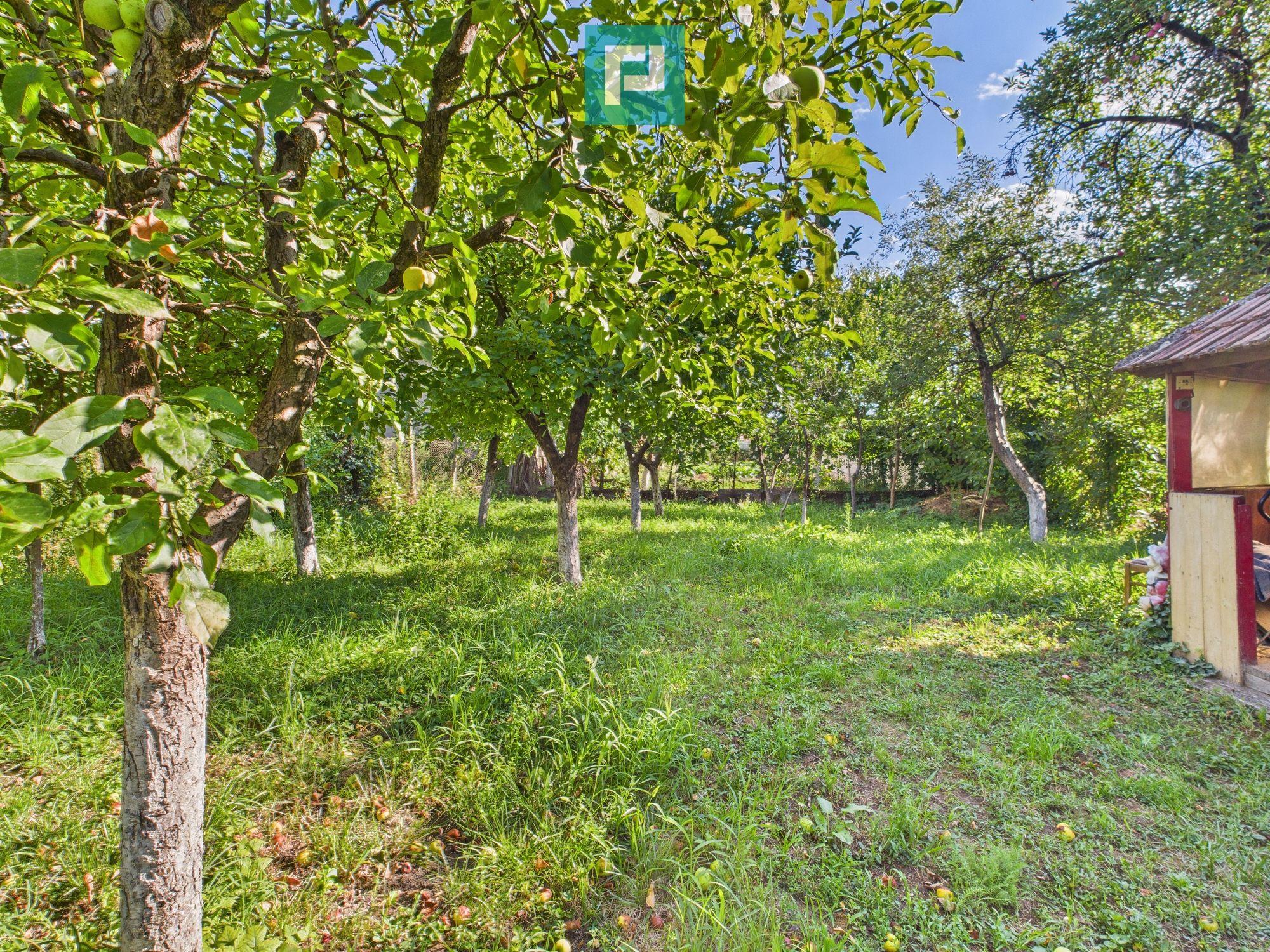 Casă cu 4 camere, curte și atelier mecanic - Sebeș - 16