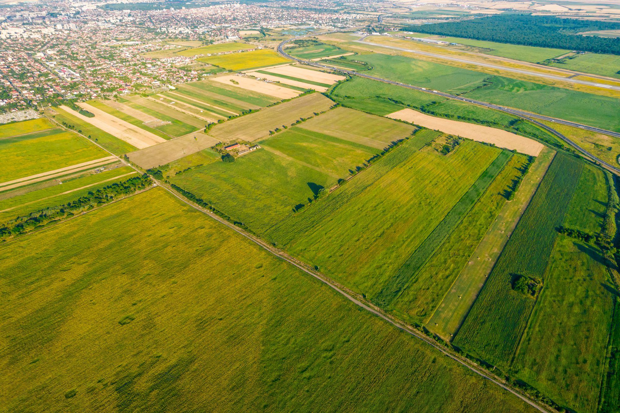 Teren de 50 ha compact în Bujac - 4