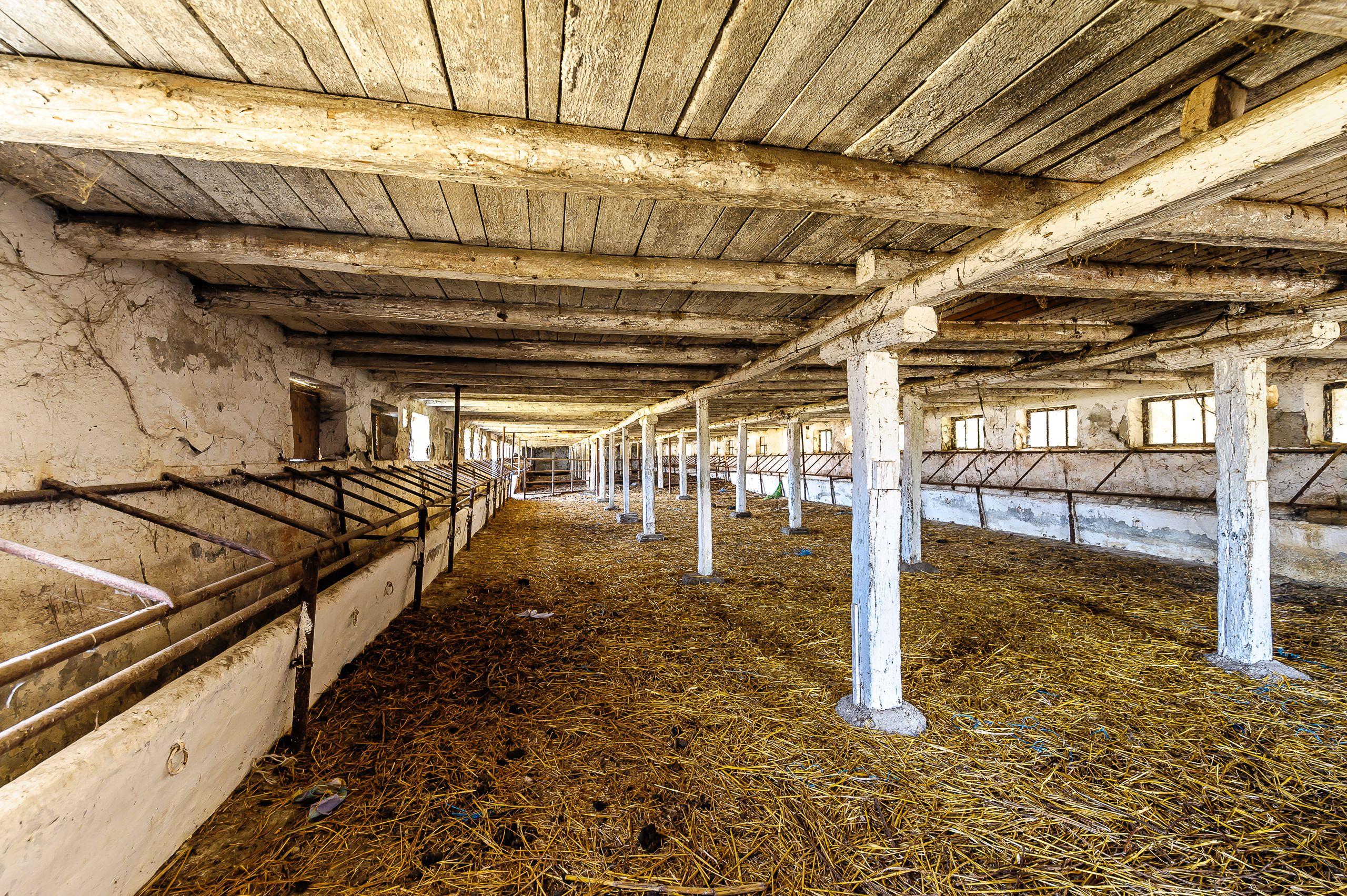 Fermă Mândruloc 2,5 ha - 5