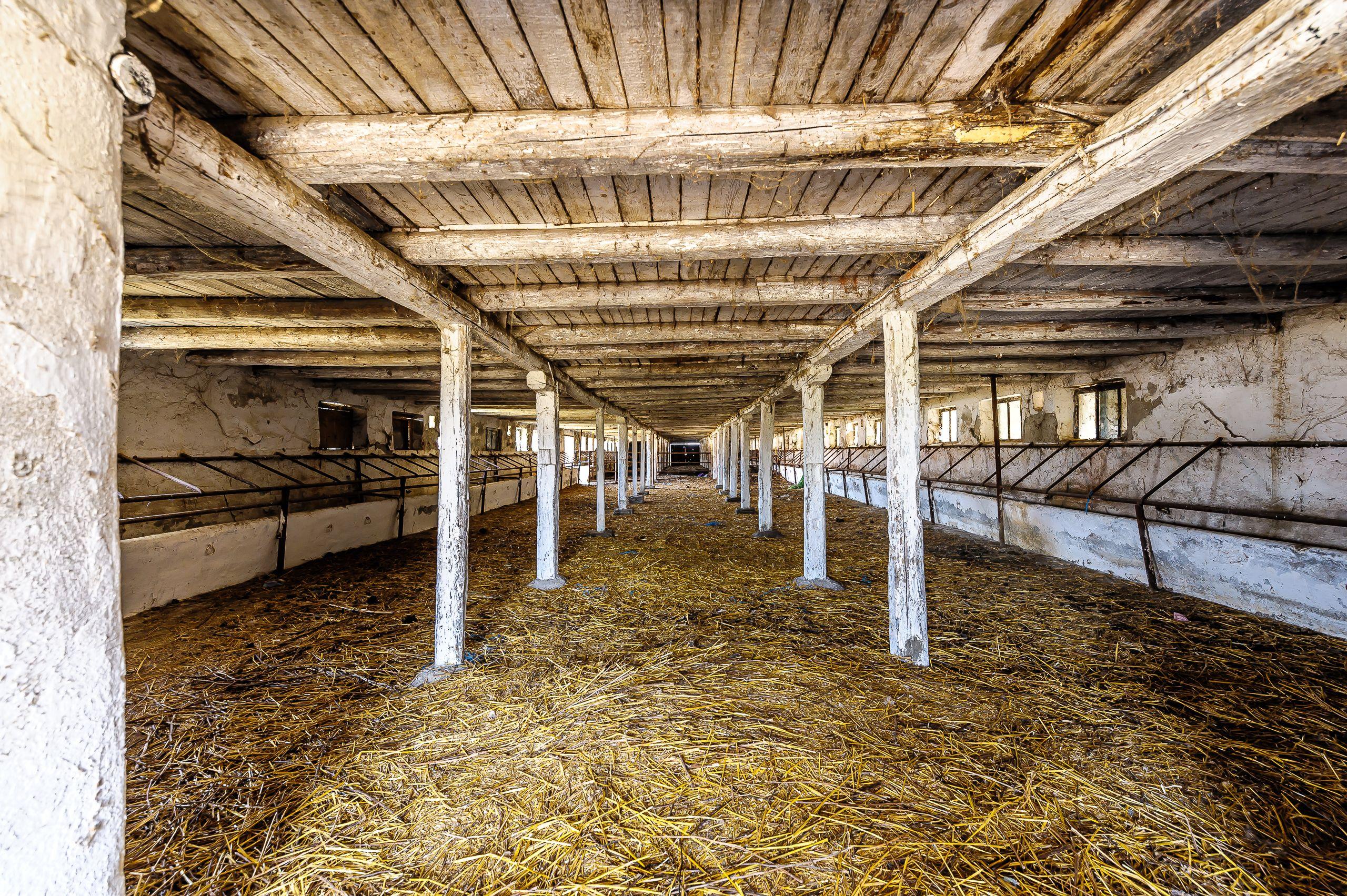 Fermă Mândruloc 2,5 ha - 4