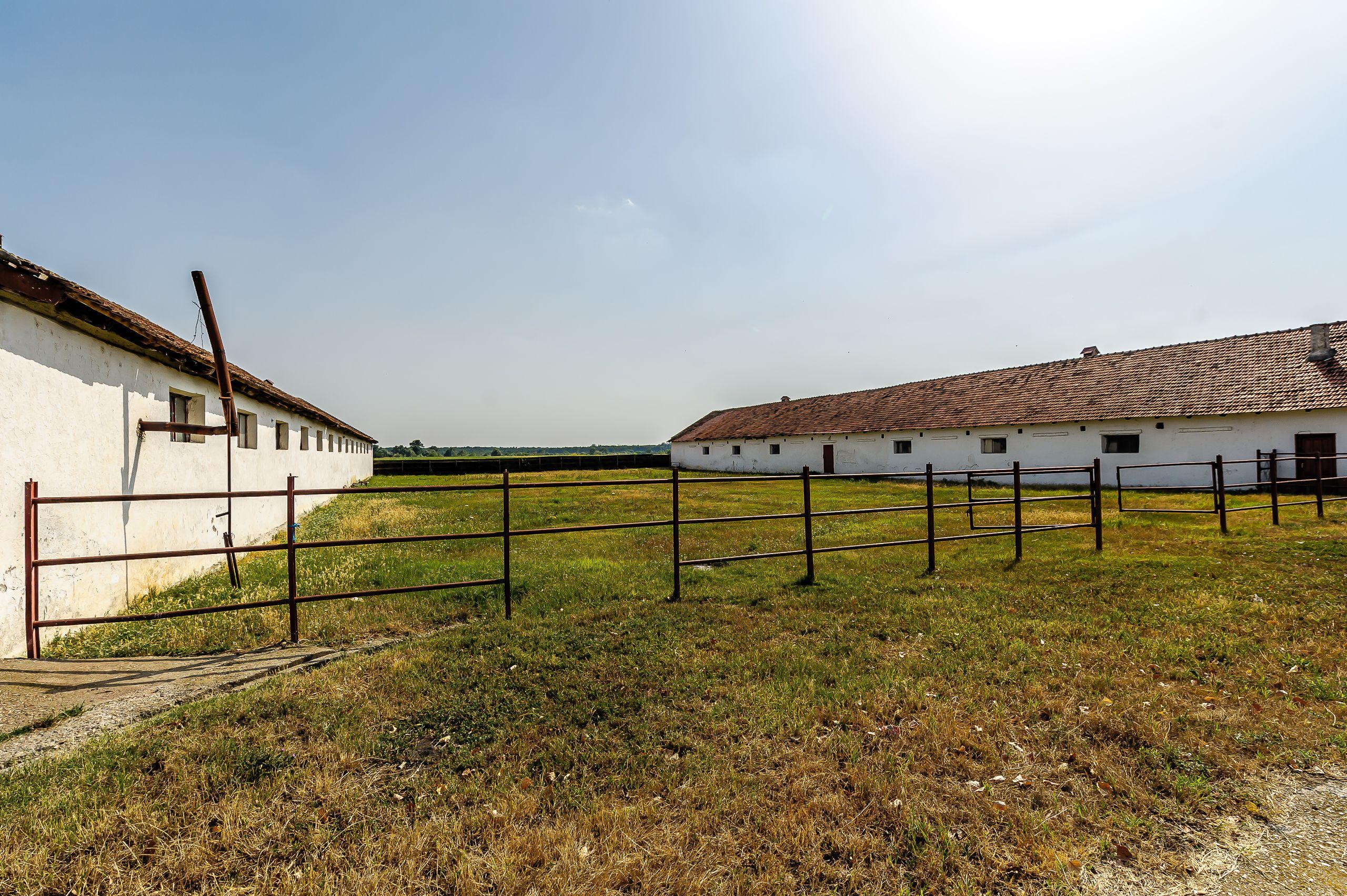 Fermă Mândruloc 2,5 ha - 7