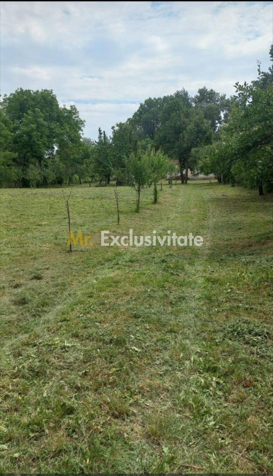 Teren 36 Ari intravilan Zona Strandului - 2