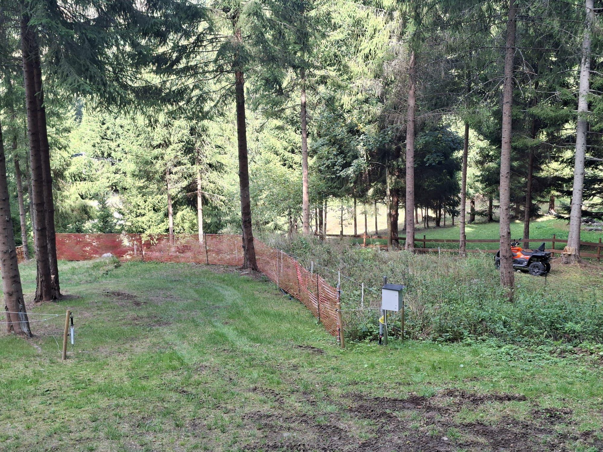 Teren intravilan la munte - 7