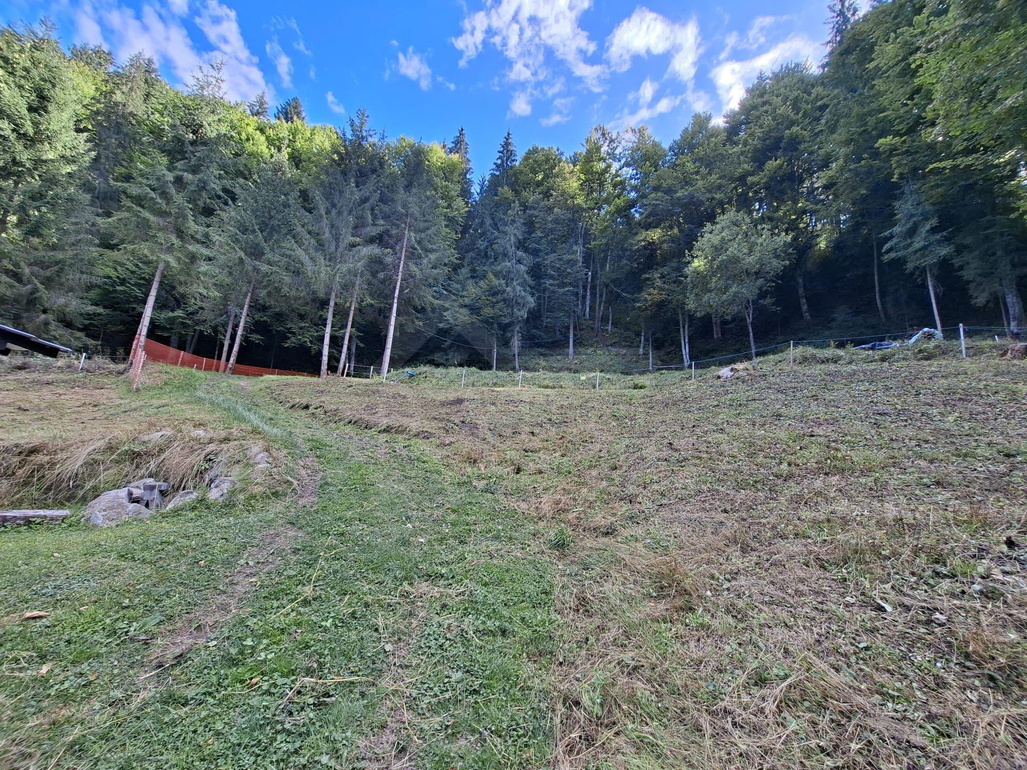 Teren intravilan la munte - 5