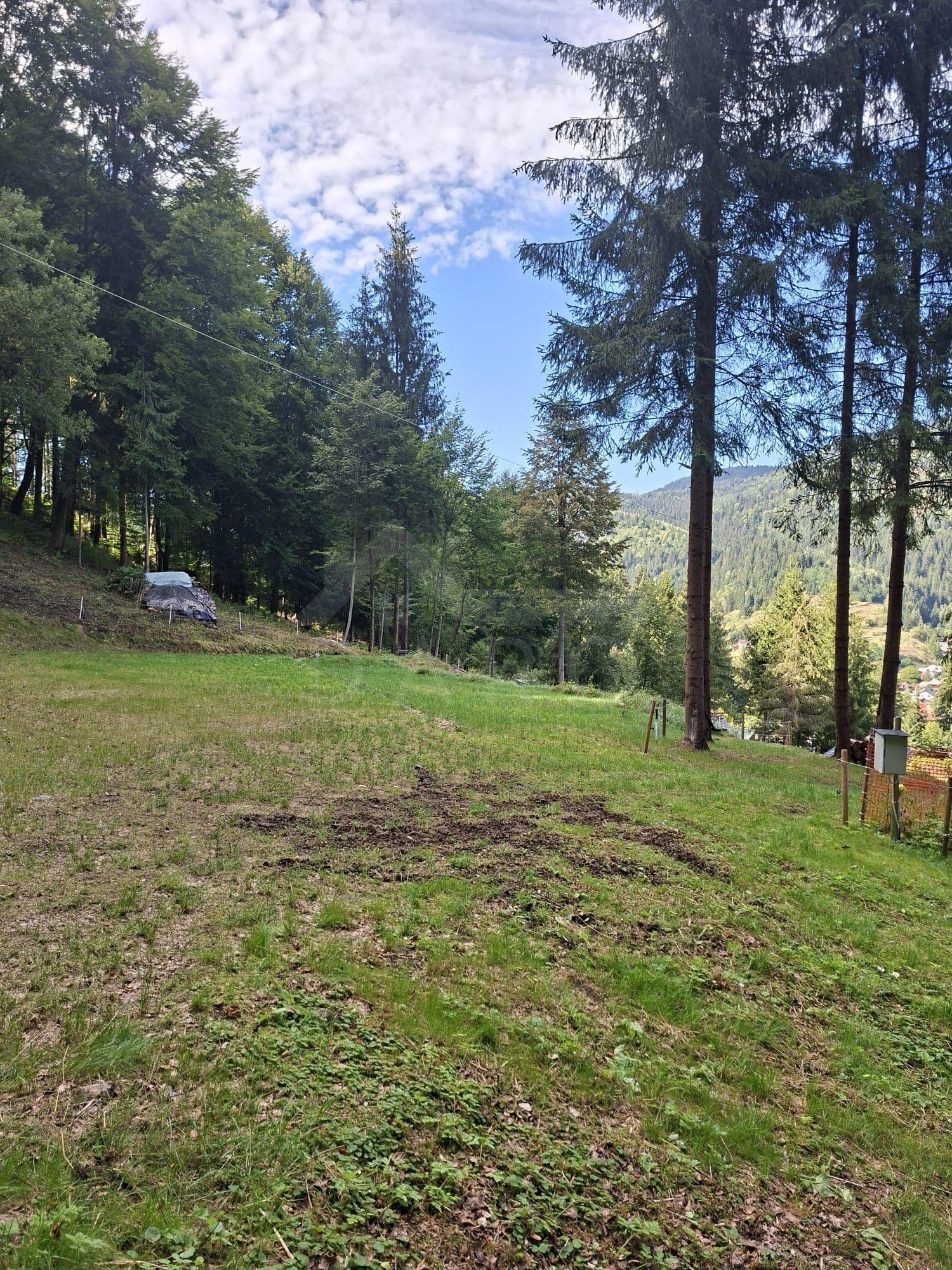 Teren intravilan la munte - 3